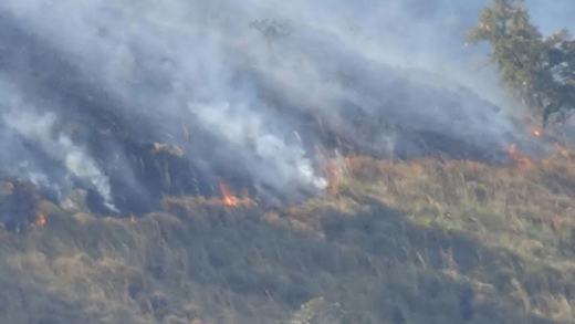  Charmadi Ghat fire destroys 60,000 acres of forests